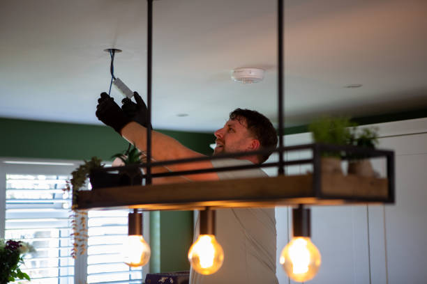 Best Electrical Upgrades for Homes  in Lena, IL