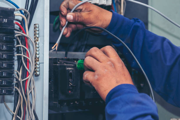 Best Industrial Electrical Services  in Lena, IL
